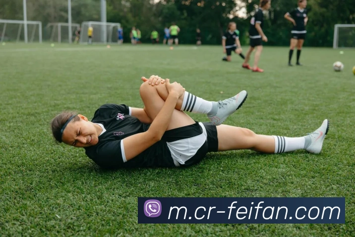 非凡体育平台生态图